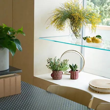 Criu Boutique 호텔